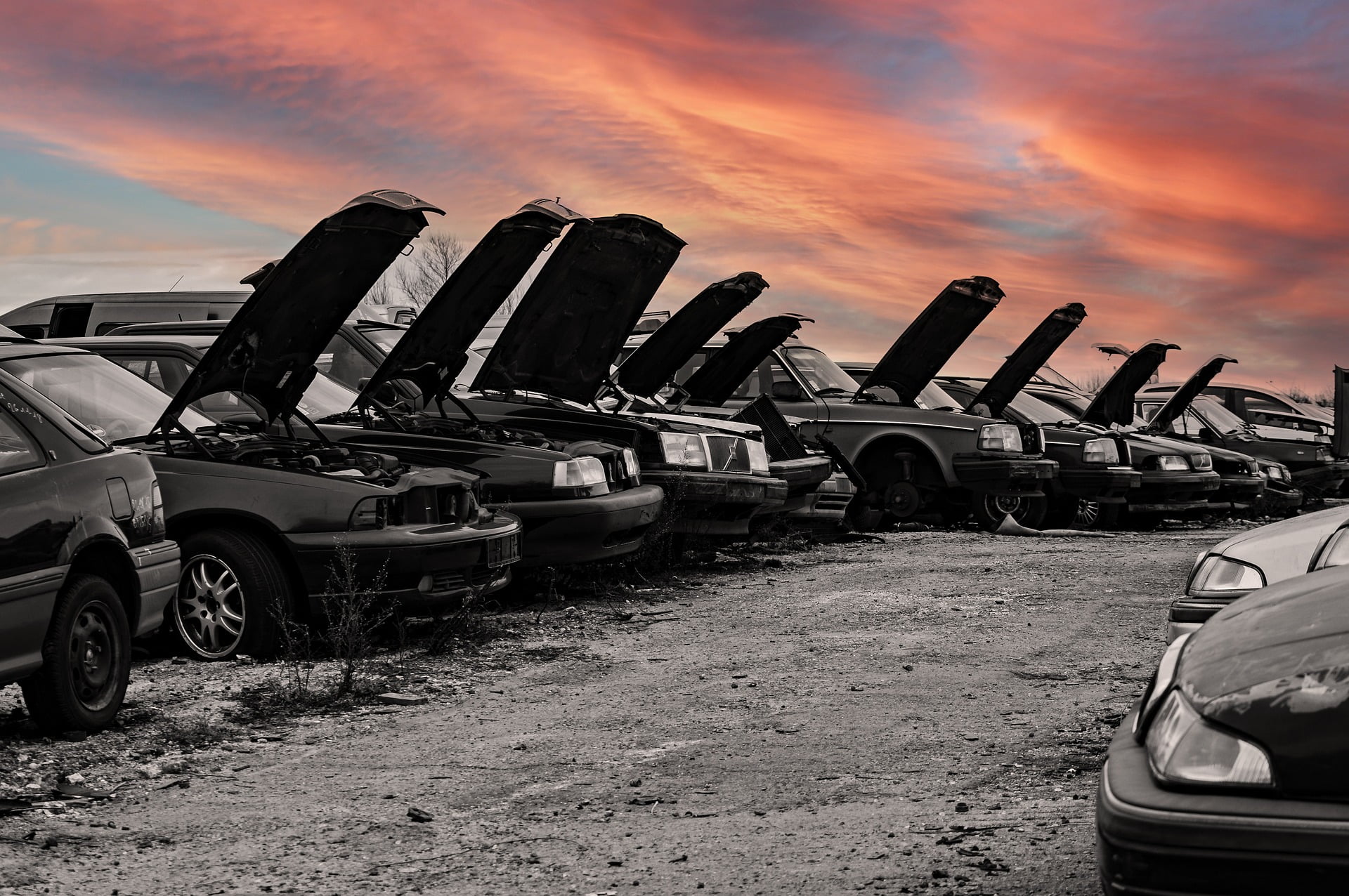 Read more about the article Legalna kasacja pojazdów a funkcjonowanie szrotów