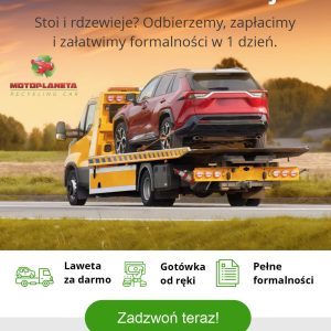 Szrot samochodowy: kasacja, części samochodowe i co jeszcze?